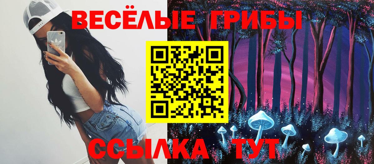 Галлюциногенные грибы GOLDEN TEACHER  Псилоцибиновые грибы Psilocybine cubensis  Вход с VPN  Подольск 