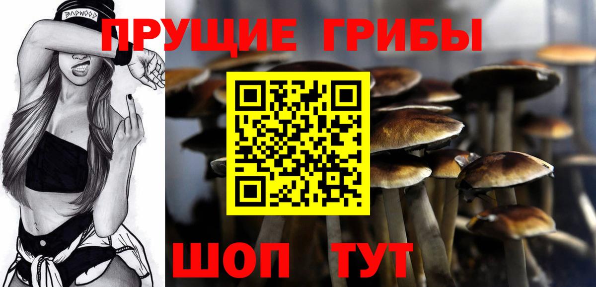 Псилоцибиновые грибы мицелий Подольск
